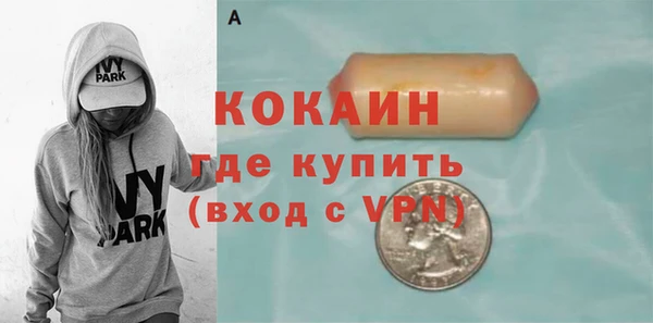 крисы Армянск