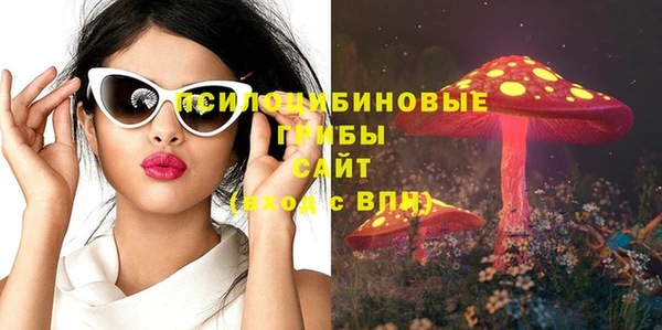 гидропоника Арсеньев