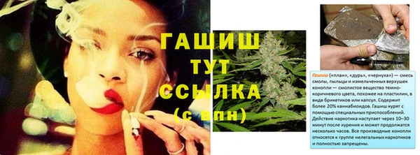 spice Аркадак