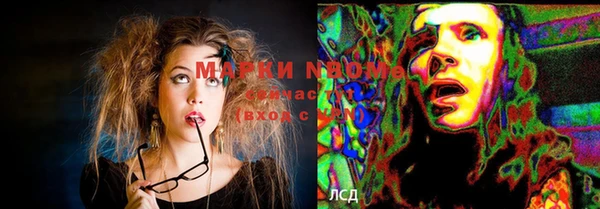 крисы Армянск