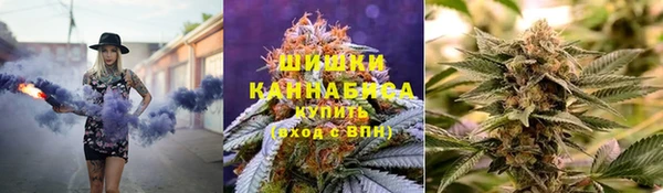крисы Армянск