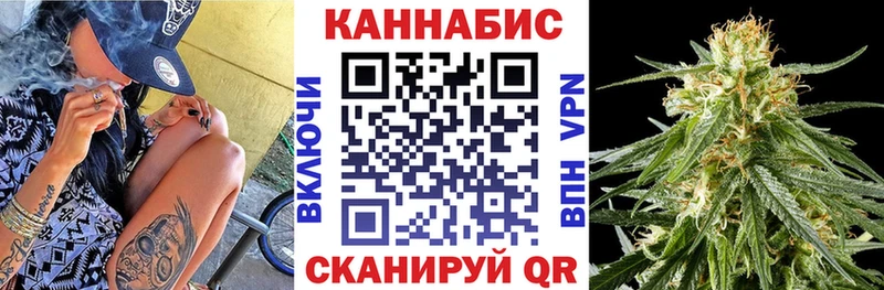 Бошки Шишки планчик  сайты даркнета телеграм  Олёкминск  магазин продажи наркотиков 